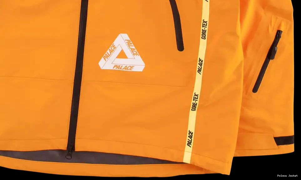 Cheap Palace Jacket Gore-Tex Palex 0606
